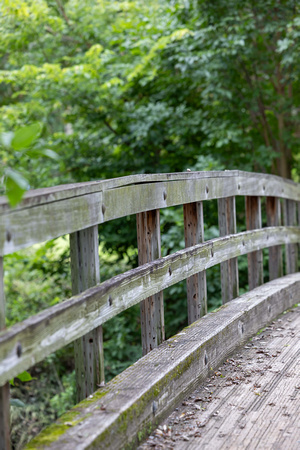 Ellison Park