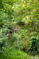 Ellison Park