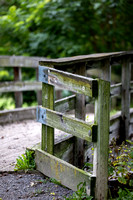 Ellison Park